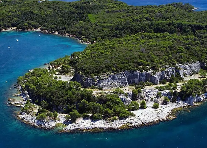 Bajo * Ρόβινι