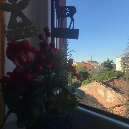Bajo Apartment *